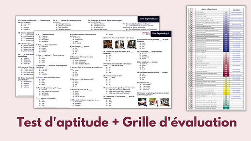 Test d'aptitude et de niveau de FLE