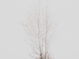 Harnessing the Winter Solstice: Completing the Work of 2024, an 8 Year