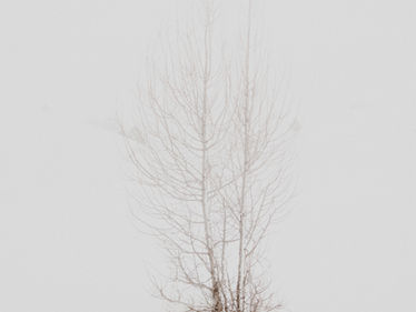 Harnessing the Winter Solstice: Completing the Work of 2024, an 8 Year