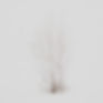 Minimalist Winter Tree