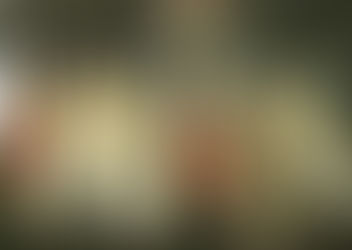 Portret in het licht van de kunstgeschiedenis 2: Renaissance