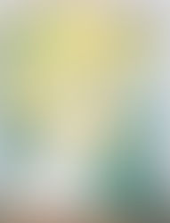 Olieverf 2: kleurnuances met tussenstappen