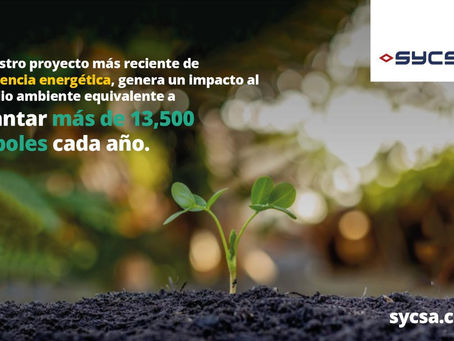 NUESTRO COMPROMISO CON EL MEDIO AMBIENTE