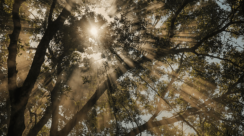 hf_20260528_093707_c64d25dc-4430-460b-bf6c-aca9293ea2e8.png