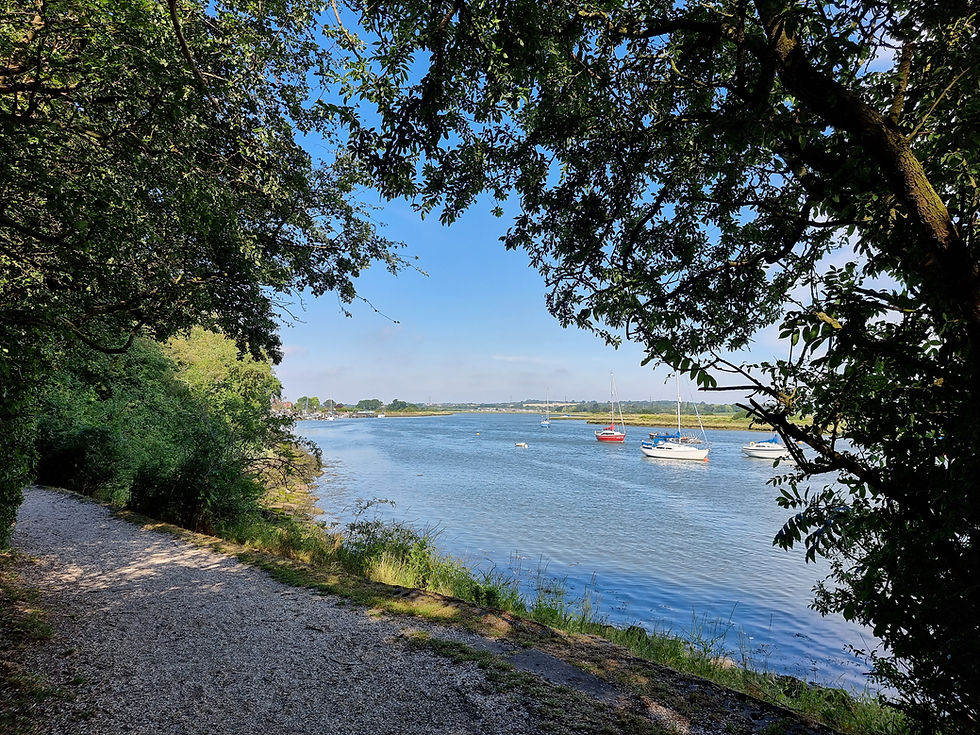 river pic for website.jpg
