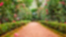 jardim .jpg