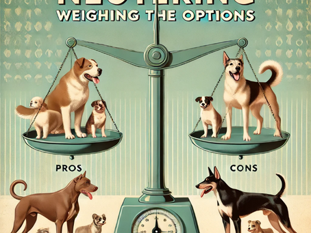Dogs of various breeds balance on a scale labeled "Pros" and "Cons" with text "Neutering: Weighing the Options" in a vintage style.