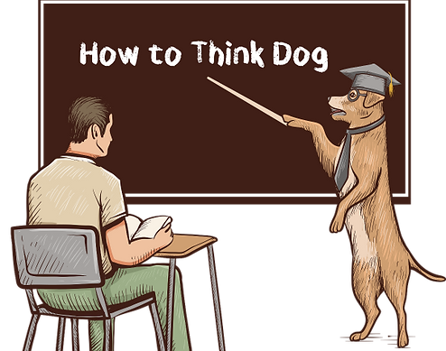 d424a0_a1acf9e6a3014a988a888dc848b8b669~mv2.png