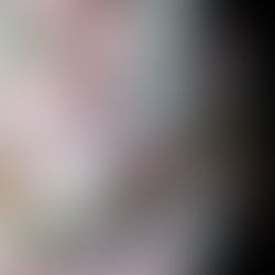 からふるマカロン