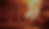 diaz_topback.png