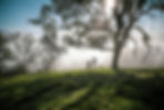 3F643A2E-E475-45CD-A696-4FBA5099ECCE.jpeg