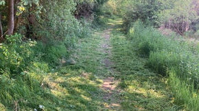 Walkways have been Trimmed