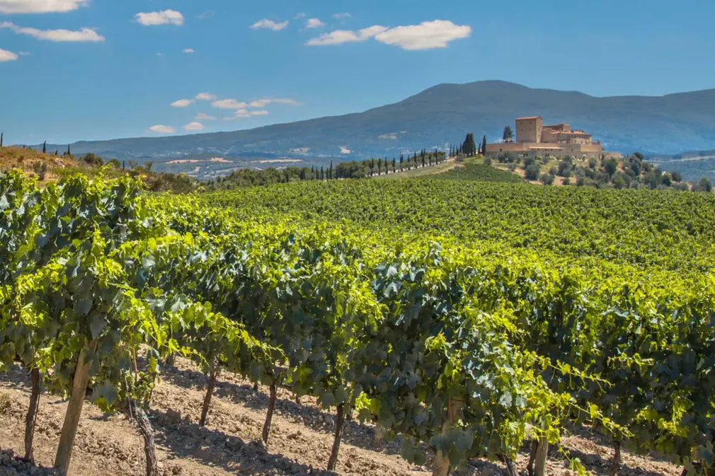 Wines of Rioja, Spain Wine Dinner