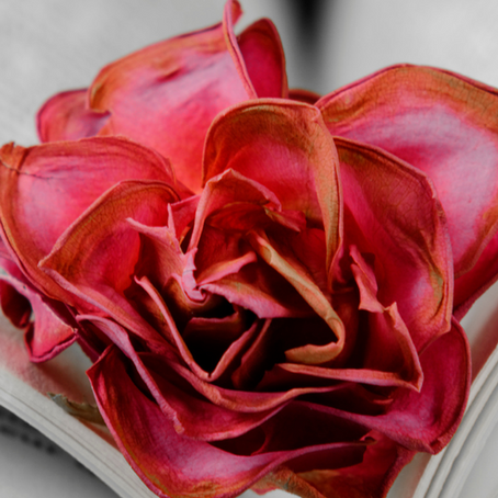 Navigating the Journey of Love: Mastering the Art of Lasting Romantic Bliss