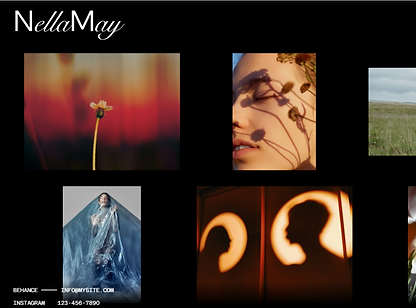 demo website screengrab