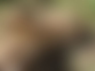 Cango Wildlife Range