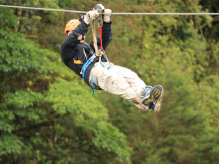 En adrenalinfylt dag ope blant tretoppene