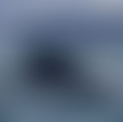 Hvalsafarien som blåste bort