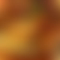 Fritert marsvin på menyen