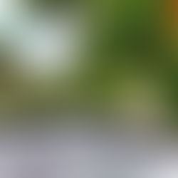 2 dager ved vulkanen Arenal