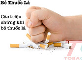 bo-thuoc-la-va-trieu-chung-sau-khi-bo.jp
