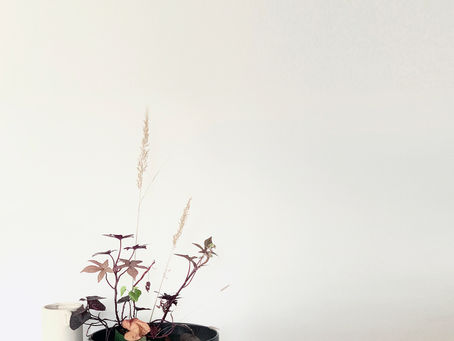 Interior Styling with wabi-sabi approach botanical arrangement
