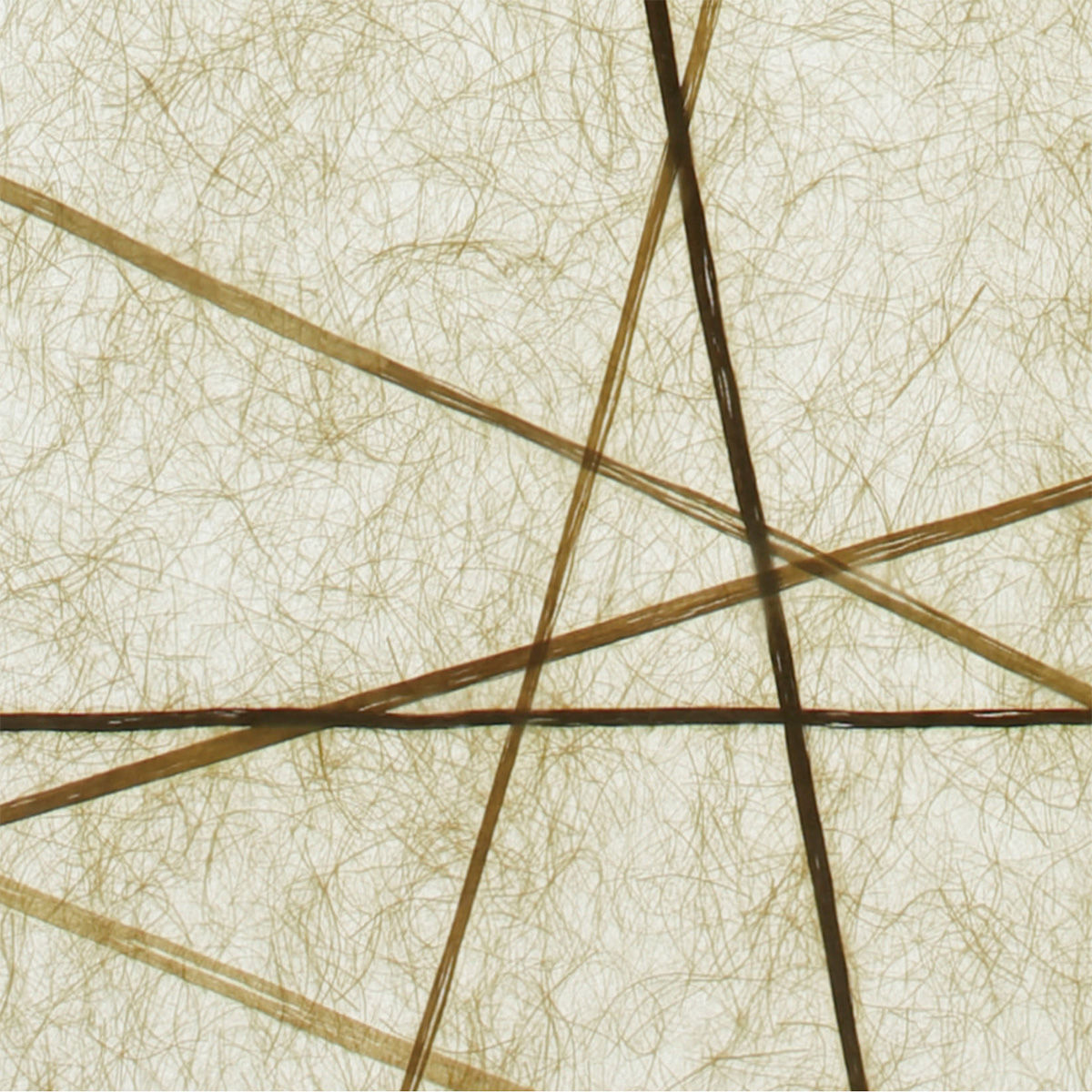 Washi Lighting Paper "SYUNRAI"