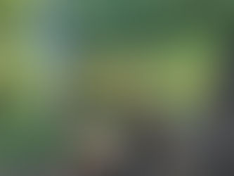 Walk the Walk - Plus a Call to Action (Walking Series #2) by Stacy Geant Hughes