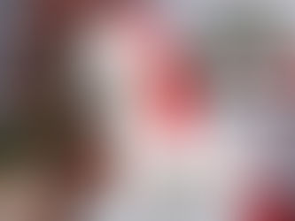 How to Keep that Christmas Puppy from Becoming a New Year’s Nightmare by Dorice Stancher, MBA, CPDT