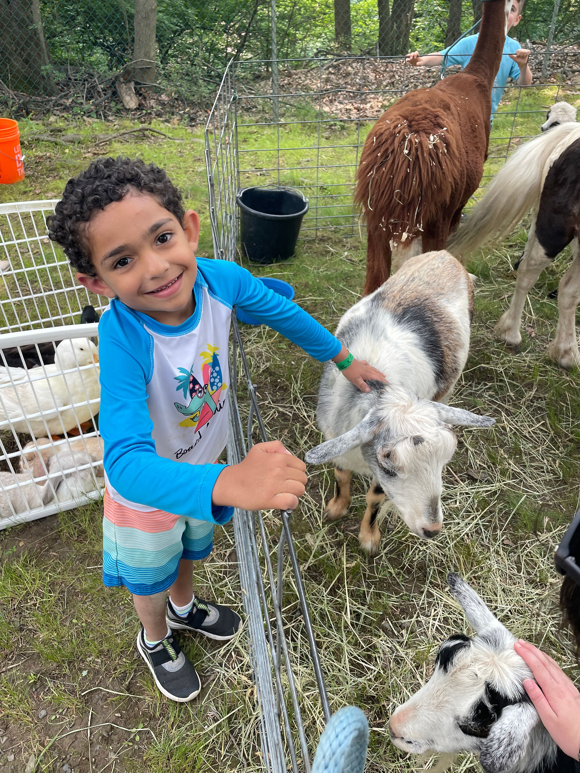 Camp Veritans Day Camp: Where Summer Fun Takes Center Stage + Spring Open House on May 19th, Bergen County Moms