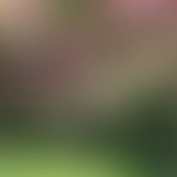 Natural Moments by The Nature Place