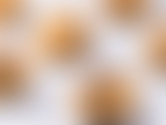 Doughlicious Raw Cookie Treats by Stacey Antine MS, RDN