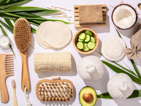 Uplevel Your Lifestyle: Sustainability Starter Kit by Laurence Carr, Interior Design