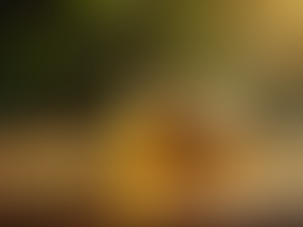 Unmissable 710 Cannabis Discounts: Your Guide to the Best Deals