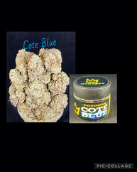 Chronic Solutions Dispensary in Norman now has Green Dynasty Cote Blue strain Flower