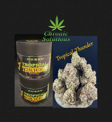 Chronic Solutions Dispensary in Norman now has Green Dynasty Tropical Thunder strain Flower