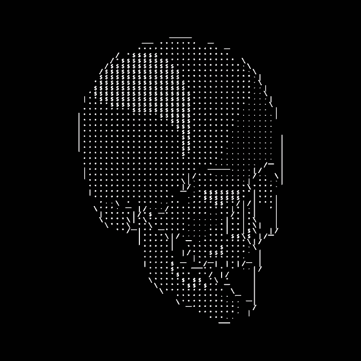 skull ASCII