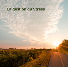 Bien-être et sérénité au quotidien