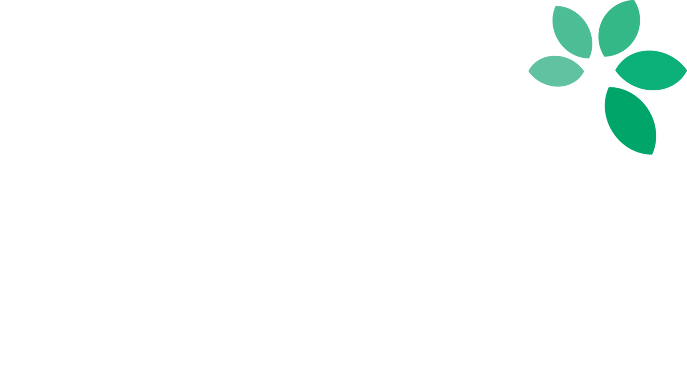 Samir foundation