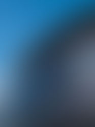 Tesla Denies Elon Musk Replacement Rumors Amid Speculation