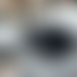 Ford Cancels Tesla-Like EV Brain Project: What This Means for the Future of Electric Vehicles