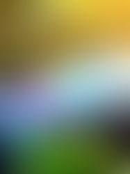 Exploring the EV Battery Market Growth: A Surge from $625.1 Million to $5.6 Billion by 2030 Driven by Sustainability