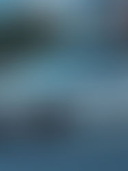 Toyota’s EV Expansion Plans: Aiming for 15 New Models and 1 Million Units Annually by 2027