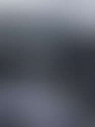 Understanding Tesla’s Q1 2025 Profit Drop: A 71% Decline and $20 Billion Revenue Shortfall Explained