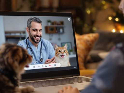 Exploring the Future of Pet Telemedicine Services: Convenience and Care for Your Furry Friends