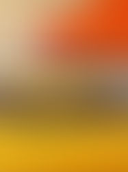 Unveiling the New Renault Filante Record 2025: A Game Changer in Electric Vehicle Efficiency