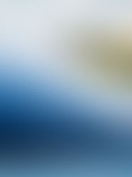 Tesla's Chair Refutes Reports of Seeking a New CEO Amid Sharp Q1 Sales Decline, Easing Investor Concerns