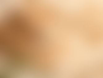 Effective Natural Remedies for Pet Anxiety: A Comprehensive Guide for Pet Owners