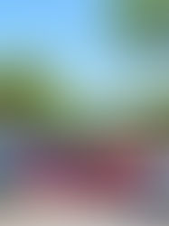 EV Prices Fall: How Half of U.S. EVs Now Under $50,000 Are Changing the Auto Market