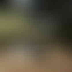 Juhlakenttä - tällä on kaikki isot tapahtumat ja tänne roudataan risteilyturistit ostoksille. Myyjät on paikalla vain silloin kun risteilyalus on satamassa.